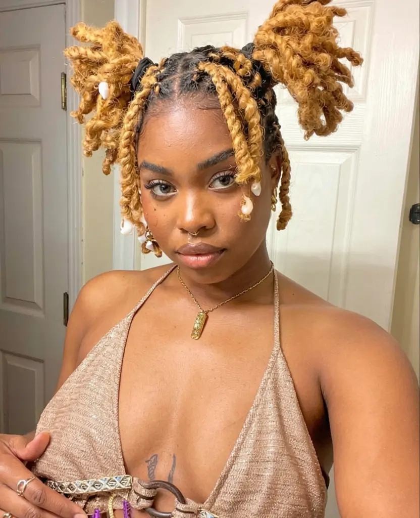 Summer Hairstyles for Black Women – Natural Hair Trends 2025