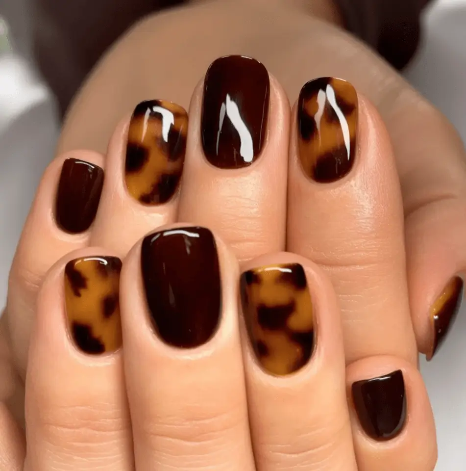 Creative Fall Gel Nail Designs 2025 Glossy Tortoiseshell and Espresso Squoval Set
